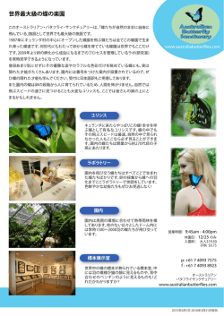 世界最大級の蝶の楽園 - Capta Group
