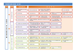 行政改革大綱の体系図（拡大版） 第 四 次 伊 江 村 行 政 改 革 大 綱