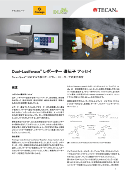 Dual-Luciferase® レポーター 遺伝子 アッセイ