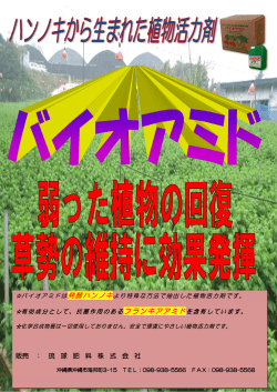 ﾁﾗｼpdf