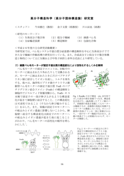 高分子構造科学（高分子固体構造論）研究室
