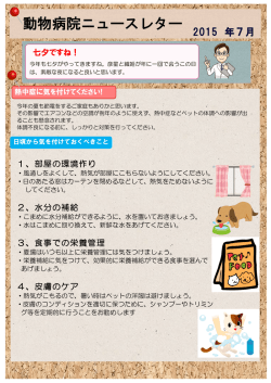 動物病院ニュースレター