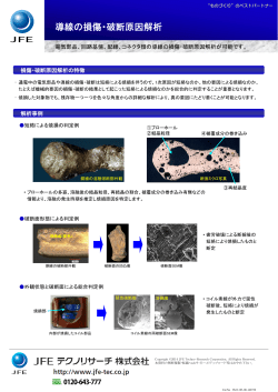 導線の損傷・破断原因解析
