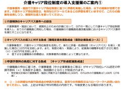 導入支援策 - 介護プロフェッショナルキャリア段位制度