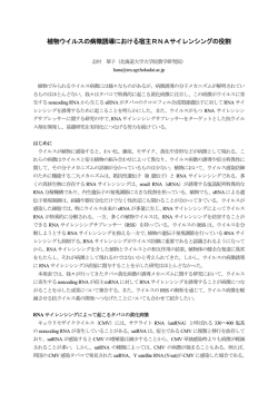 植物ウイルスの病徴誘導における宿主RNAサイレンシングの役割