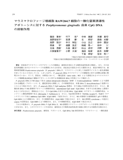 マウスマクロファージ様細胞 RAW264.7 細胞の一酸化窒素誘導性