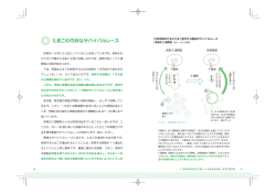 誌面見本はコチラ