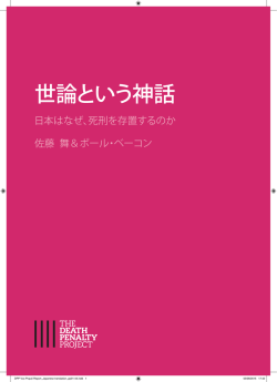 DPP Vox Populi Report_Japanese translation_pp01