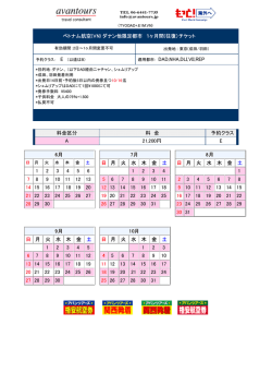 ベトナム航空(VN) ダナン他限定都市 1ヶ月間(往復）チケット 適用都市