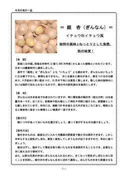＝ 銀 杏（ぎんなん）＝