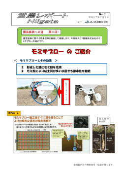 モミサブロー の ご紹介
