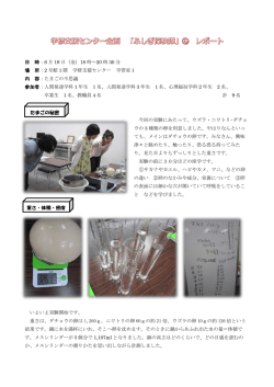 ふしぎ探検隊④レポートはこちら