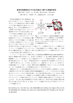 歯車状両親媒性分子の自己集合に関する理論的研究