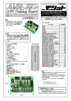 概要 AVRライターから ATmega 168のDIPタイプを書き込み